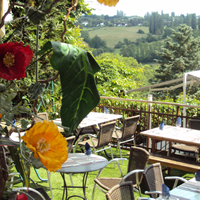 LES TERRASSES DE PEROUGES - Restaurant de Brasserie - Pérouges 01800